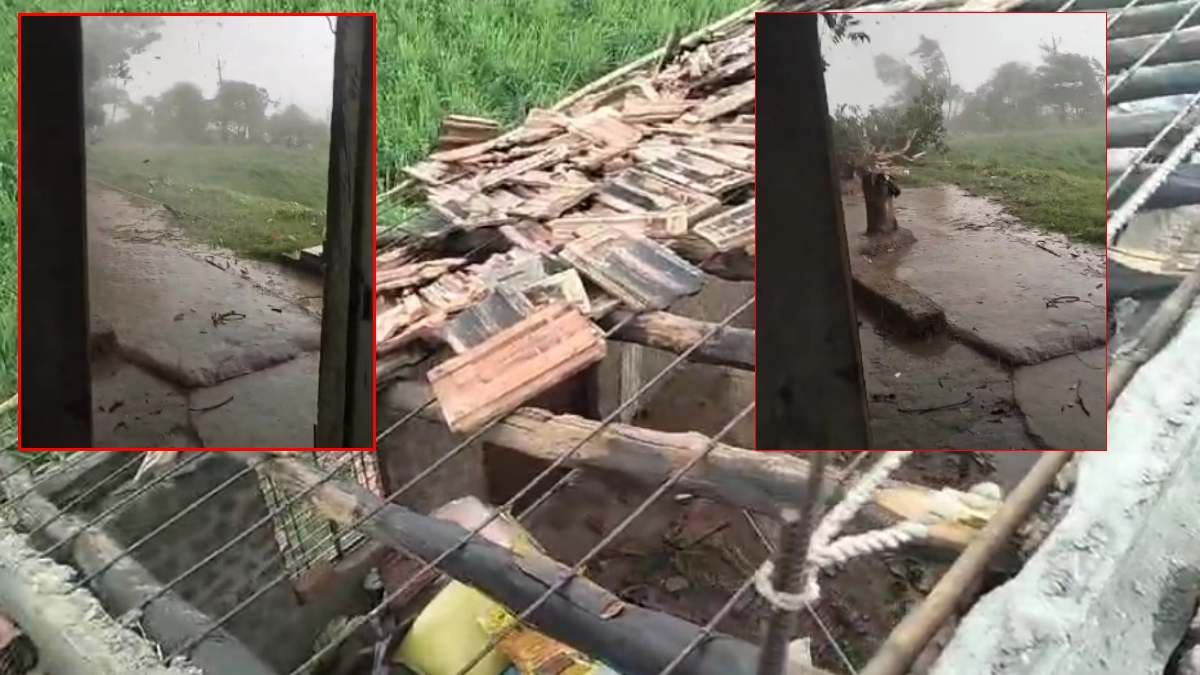 20 मिनट के तूफान ने मचाई तबाही: मकान का उड़ा छप्पर, तो जगह-जगह गिरे पेड़, लाखों का हुआ नुकसान