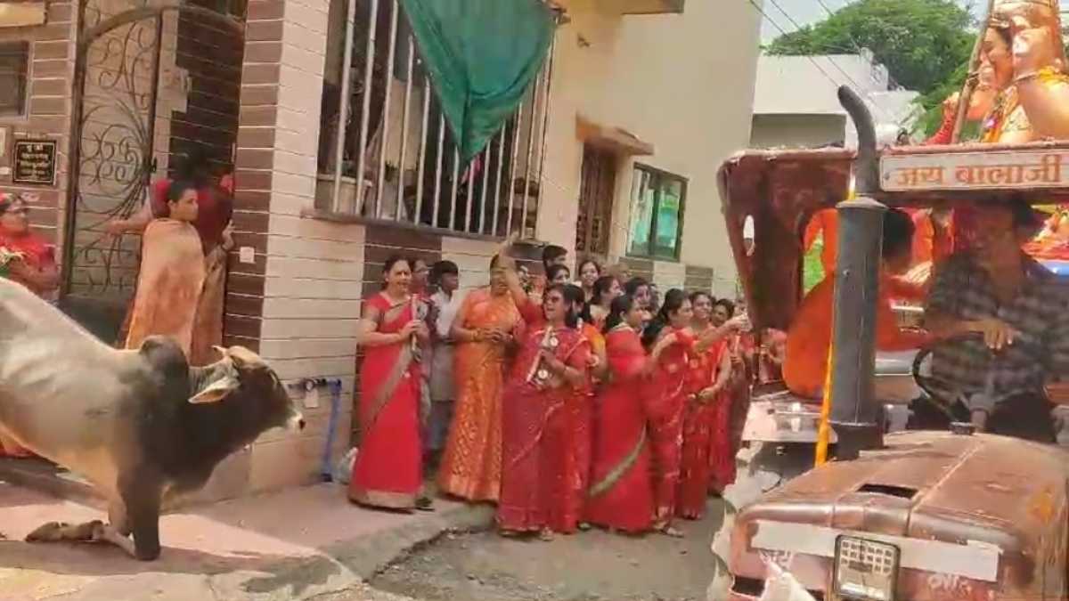 अद्भुत नजारा: विसर्जन के दौरान गणेश भगवान को देख दंडवत हुए नंदी, घुटने टेक किया प्रणाम, नहीं देखा होगा ऐसा VIDEO