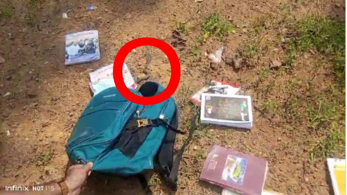 5वीं क्लास की छात्रा के स्कूल बैग में बैठा था नाग सांप, बस्ता खोलते ही क्लासरूम में मचा हड़कंप …