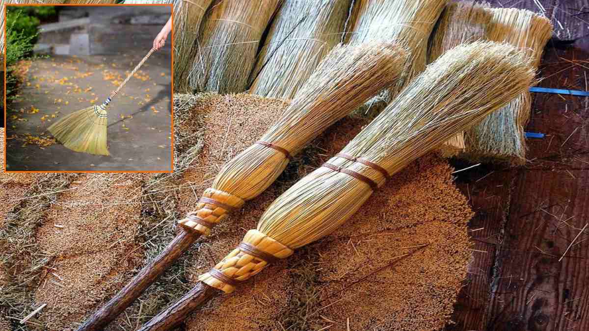 झाडू में देवी महालक्ष्मी का वास: कुछ बातों का रखें खास ध्यान, नहीं तो झेलनी पड़ सकती है धन हानि