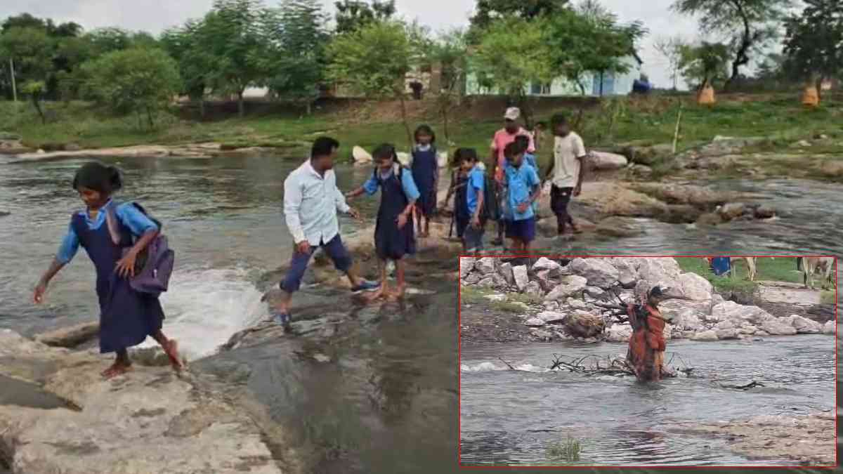नदी के तेज बहाव में डूबते सपने: पुल के अभाव में जान जोखिम में डालकर स्कूल जाते बच्चे, PMGSY की लापरवाही से 50 गांवों के लोग परेशान