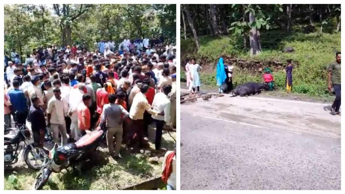 रेत से भरे डंपर ने भैंसों के झुंड को रौंदा: तीन भैंस की मौत, 7 घायल, गुस्साए ग्रामीणों ने किया चक्काजाम
