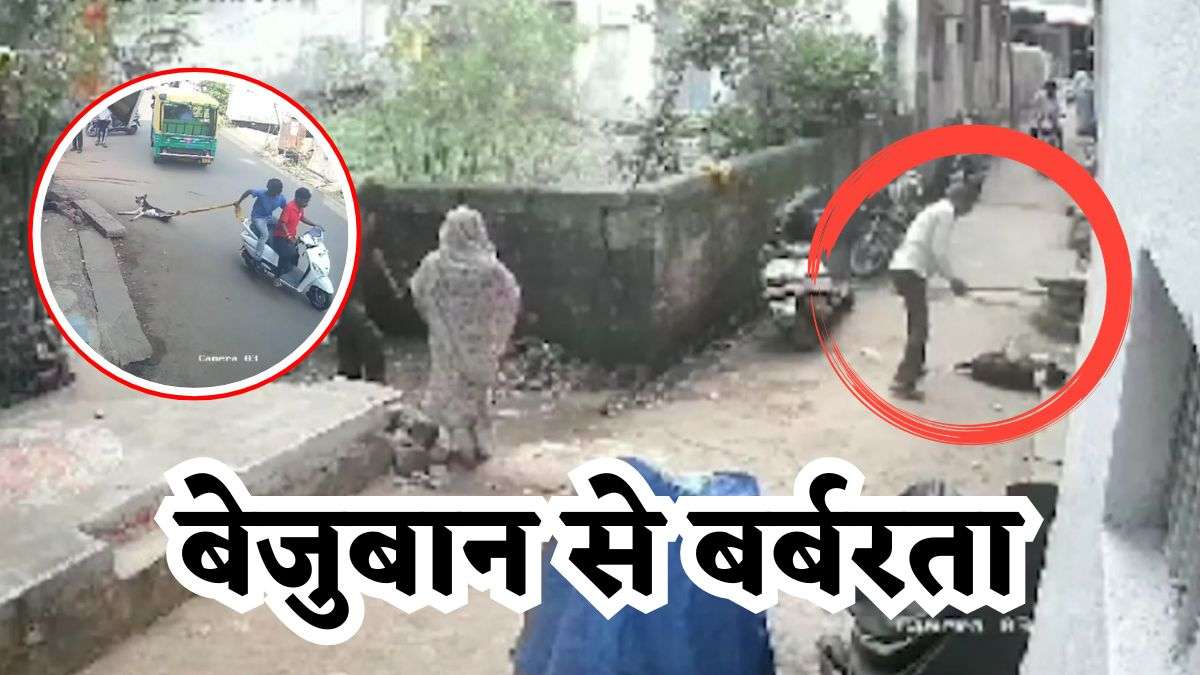 बेजुबान से बर्बरता: शख्स ने कुत्ते को पहले डंडों से पीटा, फिर स्कूटी से बांधकर घसीटा, देखें क्रूरता का दिल दहलाने वाला VIDEO