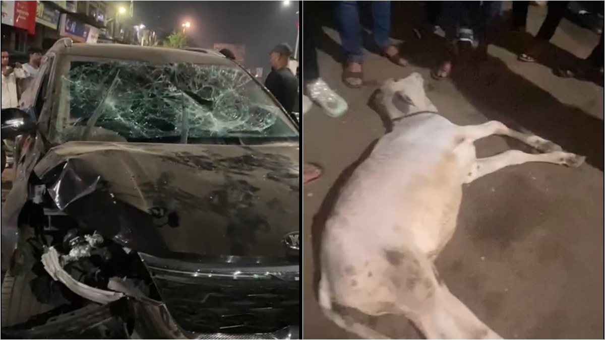 नशे में धुत कार चालक ने मचाया उत्पात, कई गाड़ियों को मारी टक्कर, गाय की भी मौत