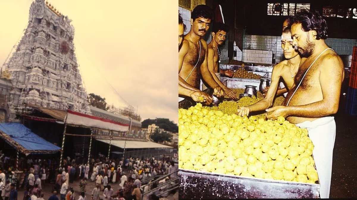 ‘Tirupati Balaji Mandir के प्रसाद में पुजारी ही कर रहे मिलावट’, जानिए किसने किया यह बड़ा दावा