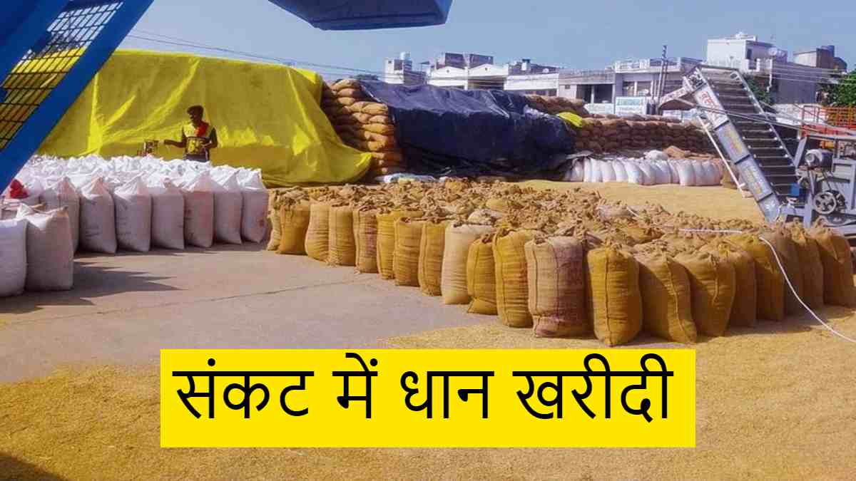 Punjab News: संकट में धान खरीदी, शैलर मालिकों और बिचौलियों की हड़ताल ने बढ़ाई प्रशासन और किसानों की चिंता…