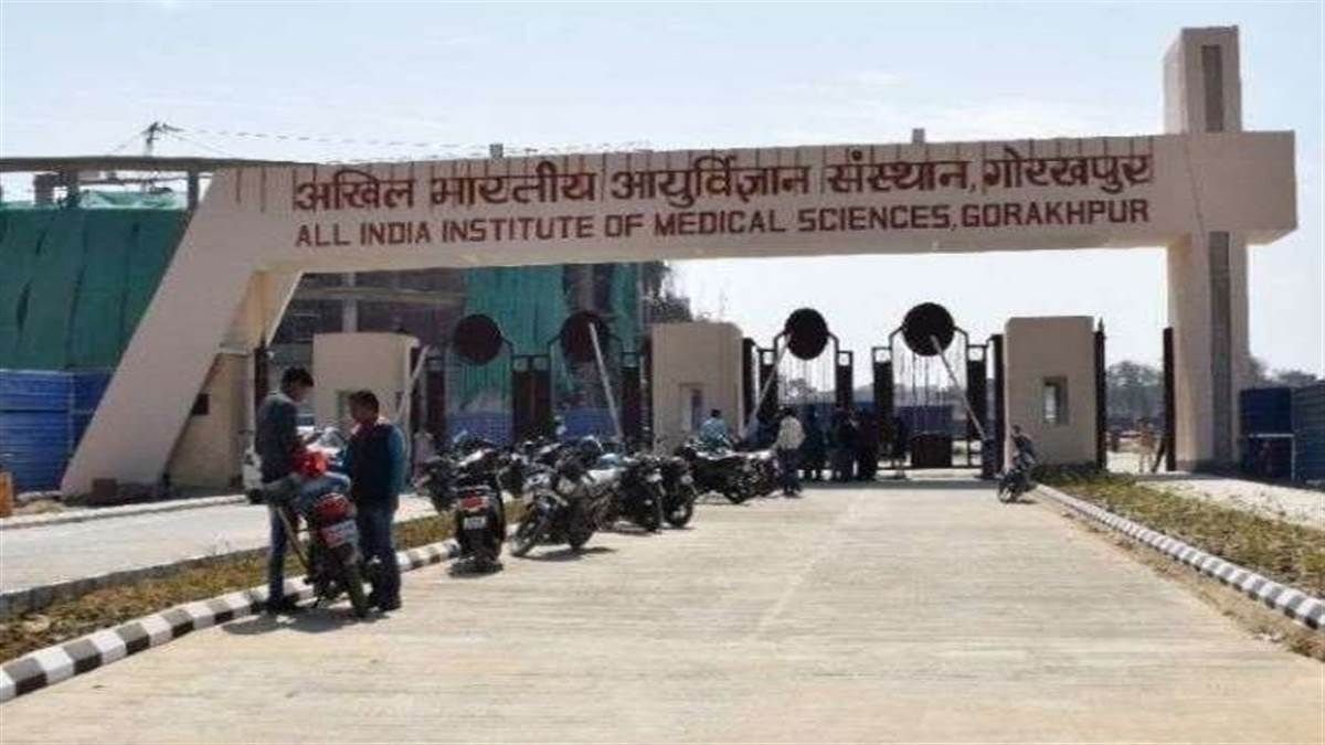 ‘यहां तो भाई-भतीजावाद चल रहा’! AIIMS के डायरेक्टर ने करवाया बड़ा खेला? बेटे की MD-PG कोर्स में कराई नियुक्ति, ऐसे लिखी गई गड़बड़ी की पटकथा