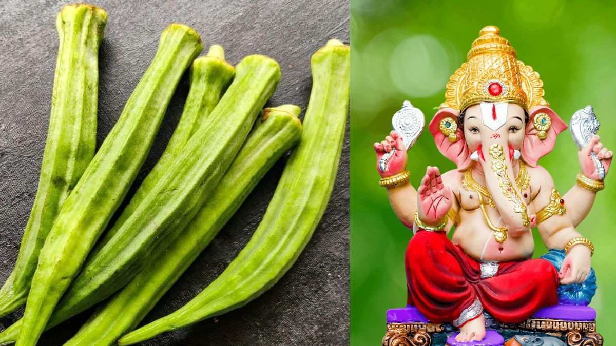 नवधारी भिंडी के बिना अधूरी है गणेश उत्सव, जानिए क्या इसके ​पीछे का कारण