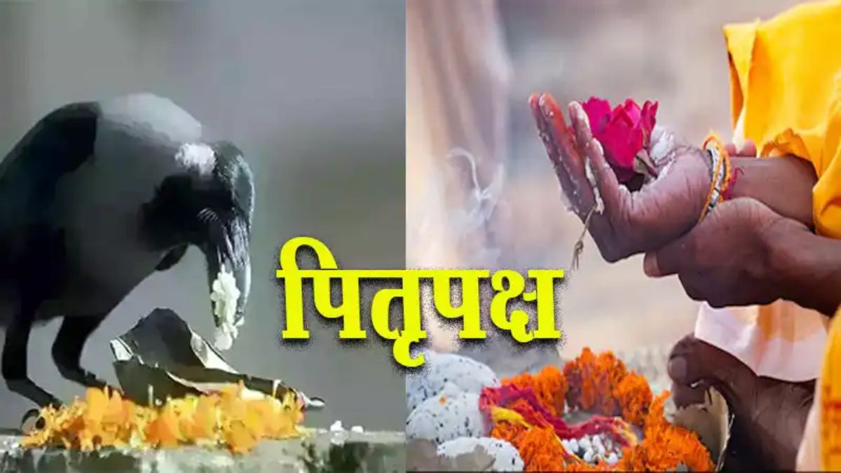 Pitra Paksha 2024 : पितृ पक्ष में न दिखे कौआं, तो इन जीव-जंतु को खिलाएं खाना…