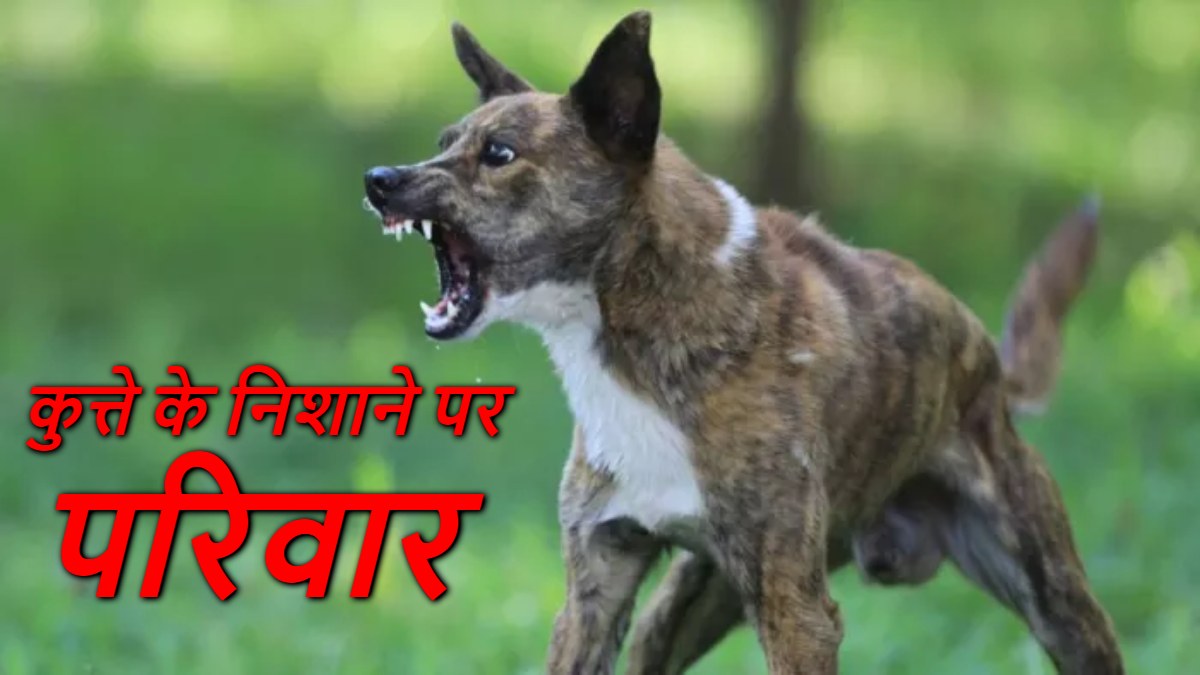 कुत्ते के टारगेट में ये परिवार ! पूरे गांव को छोड़ इन्हीं को बना रहा निशाना, घर के अंदर कैद हुए सदस्य, अब सीएम से मांगी मदद