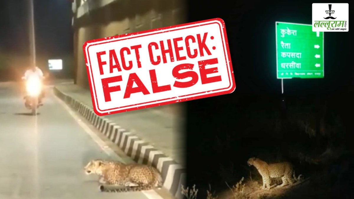 झूठी निकली राजधानी में तेंदुए की दस्तक की खबर, वन विभाग ने की अफवाह की पुष्टि, फोटो एडिट कर किया जा रहा था वायरल