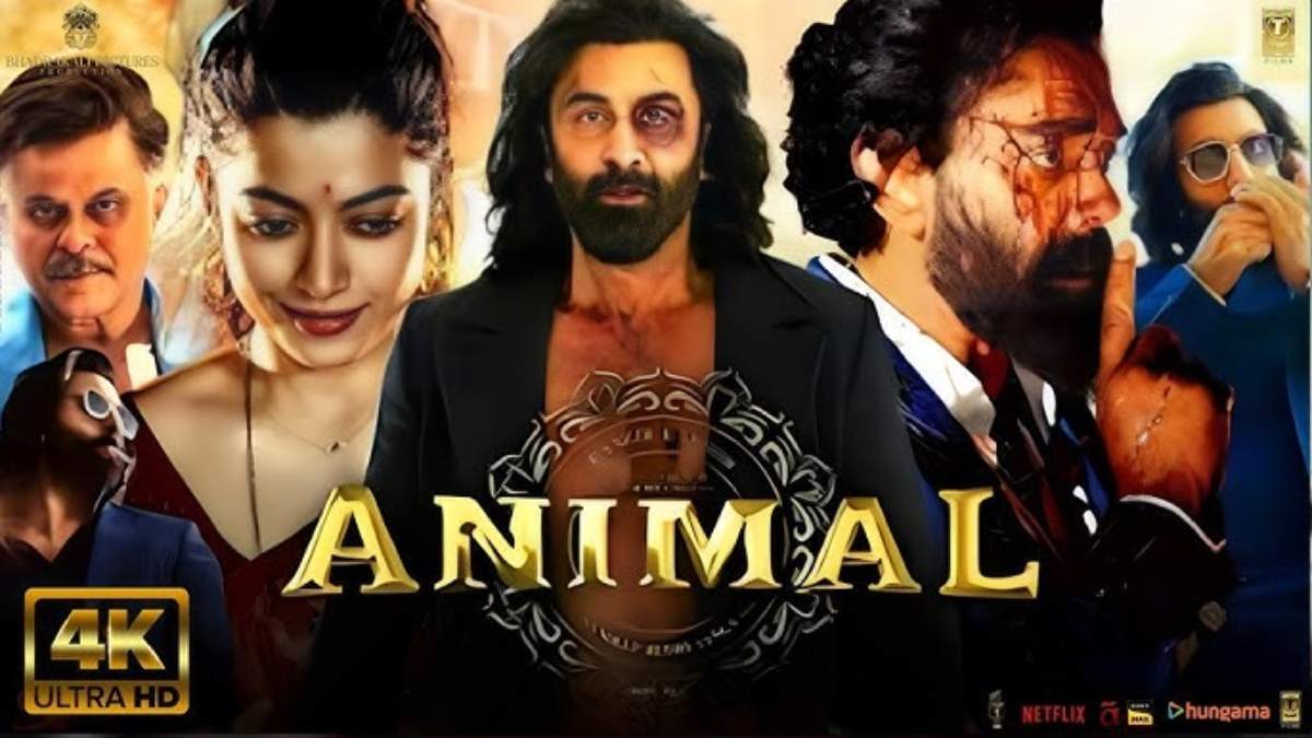 IIFA Award 2024 में Ranbir Kapoor की Animal को मिला सबसे ज्यादा अवार्ड, अलग-अलग केटेगरी में फिल्म बनी विजेता …