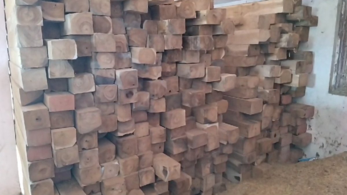 काम नहीं आई चालाकी: ऊपर भूसा और नीचे 660 सौगान की सिल्लियां, ऐसे खुला काले कारोबार का चिट्ठा