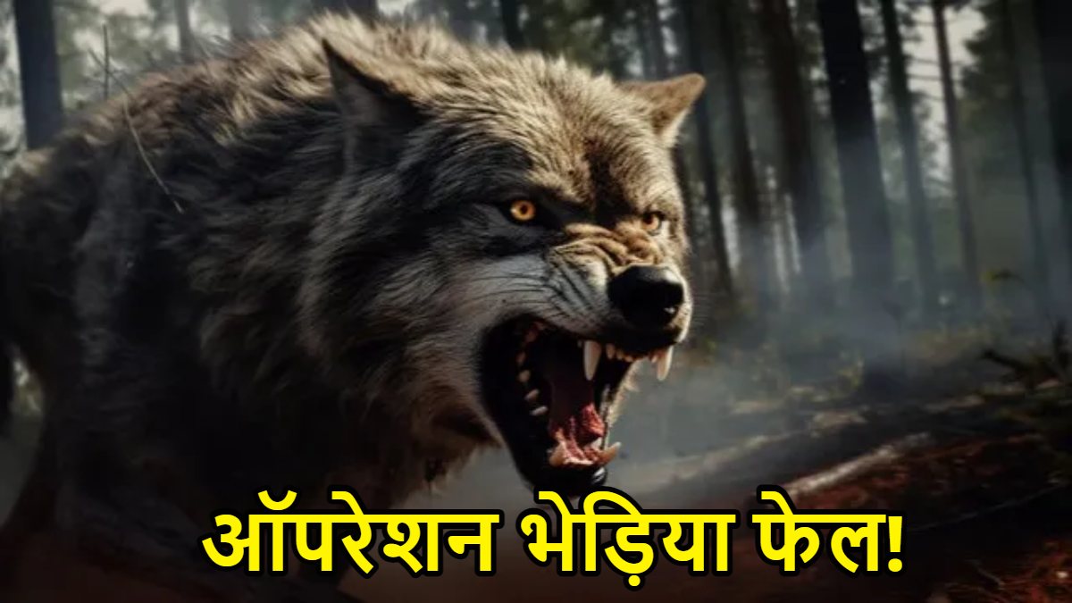 ऑपरेशन भेड़िया फेल! फिर 3 लोगों को बनाया निशाना, 30 से ज्यादा गांवों में दहशत, 10 ग्रामीणों की मौत, 35 से अधिक घायल, वन विभाग ने कहा- ये हैं जंगली कुत्ते