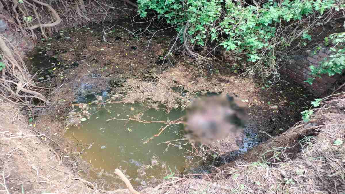 हत्या या आत्महत्या ? जंगल में लकड़ी बीनने गई मां-बेटी की कुएं में मिली लाश, परिवार में पसरा मातम