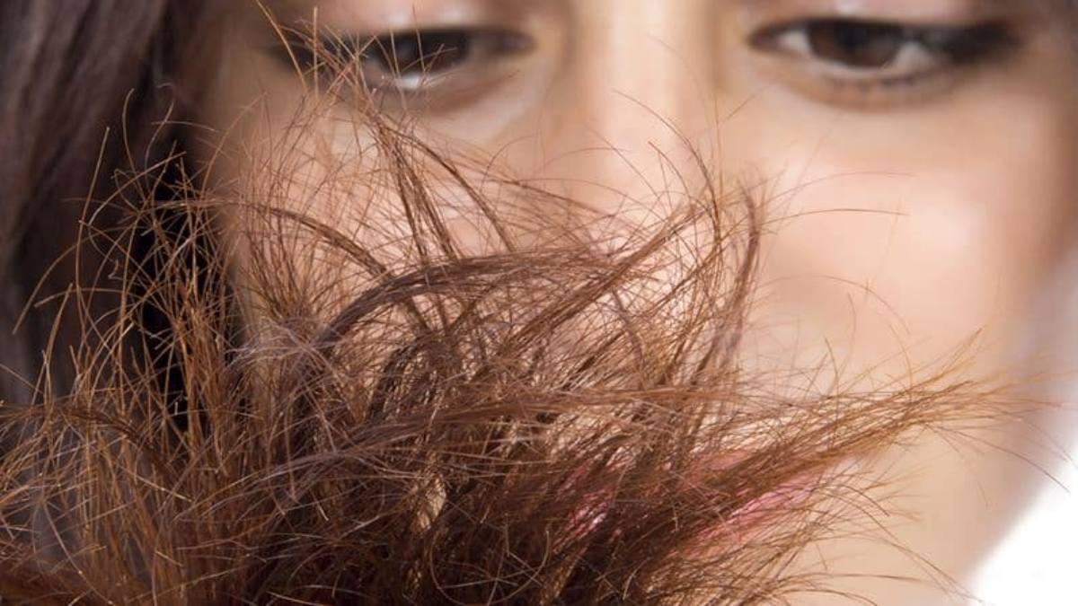 Do Muhe Baal Kaise Hataye: दोमुंहे बालों को बिना काटे इस तरीके पाएं निजात, जानिए टिप्स…