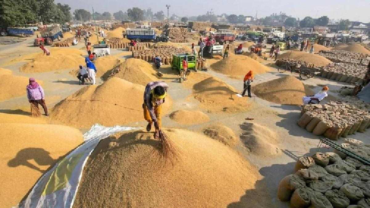 1 अक्टूबर से पश्चिमी UP में शुरू होगी धान खरीदी, योगी सरकार ने की तैयारियां पूरी