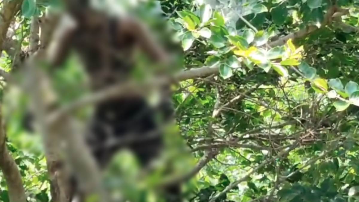 दोस्ती पर कलंक ! पैसे के लिए दोस्त की गला दबाकर हत्या, ऐसे सुलझी अंधे कत्ल की गुत्थी