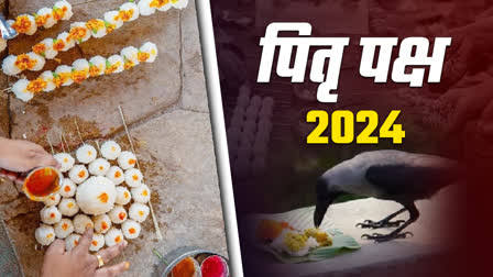 Pitru Paksha 2024 : पितृ पक्ष में किन चीजों का करना चाहिए दान, ये हैं कुछ महत्वपूर्ण उपाय …
