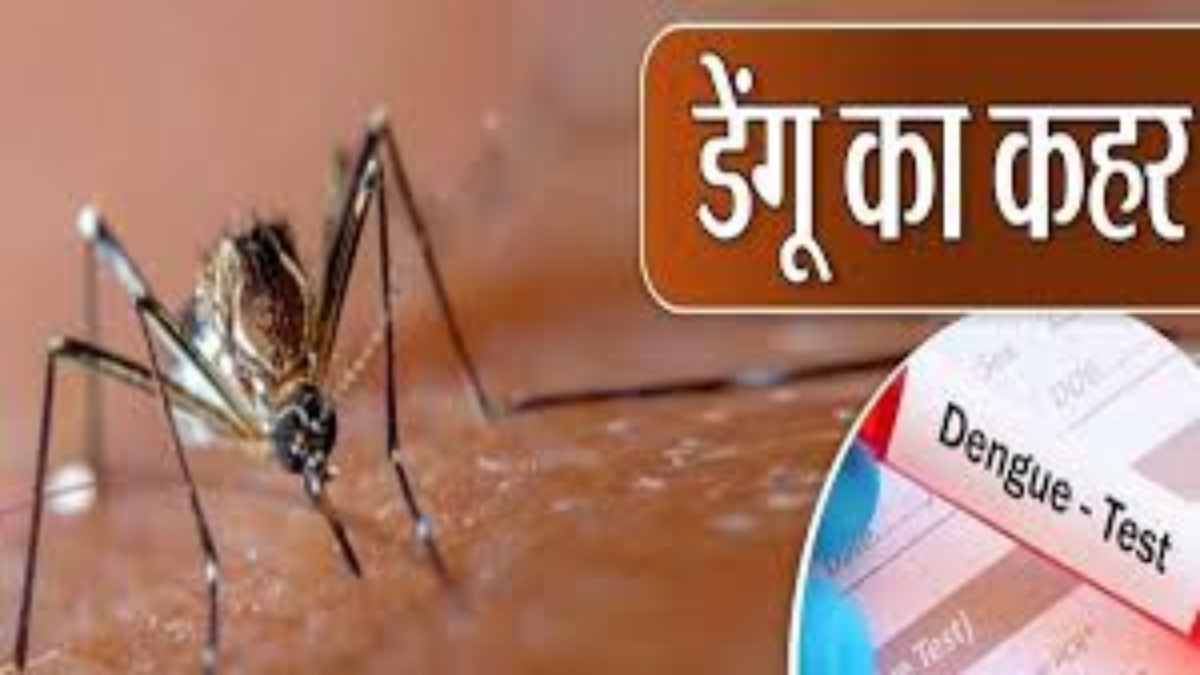 ग्वालियर में डेंगू का कहर: 24 घंटे में आए 28 मामले, 268 पहुंचा आंकड़ा