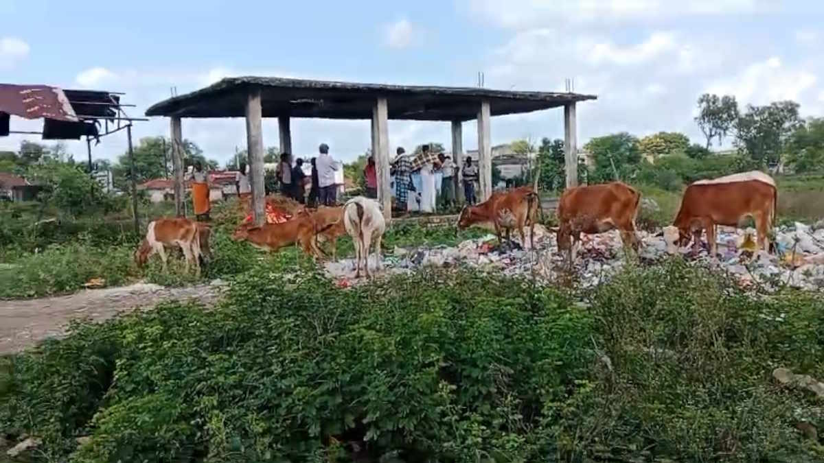 गंदगी और बदबू के बीच मुक्तिधाम लगा रहा पुकार, ‘साहब! आखिर मुझे कब करोगे मुक्त…’