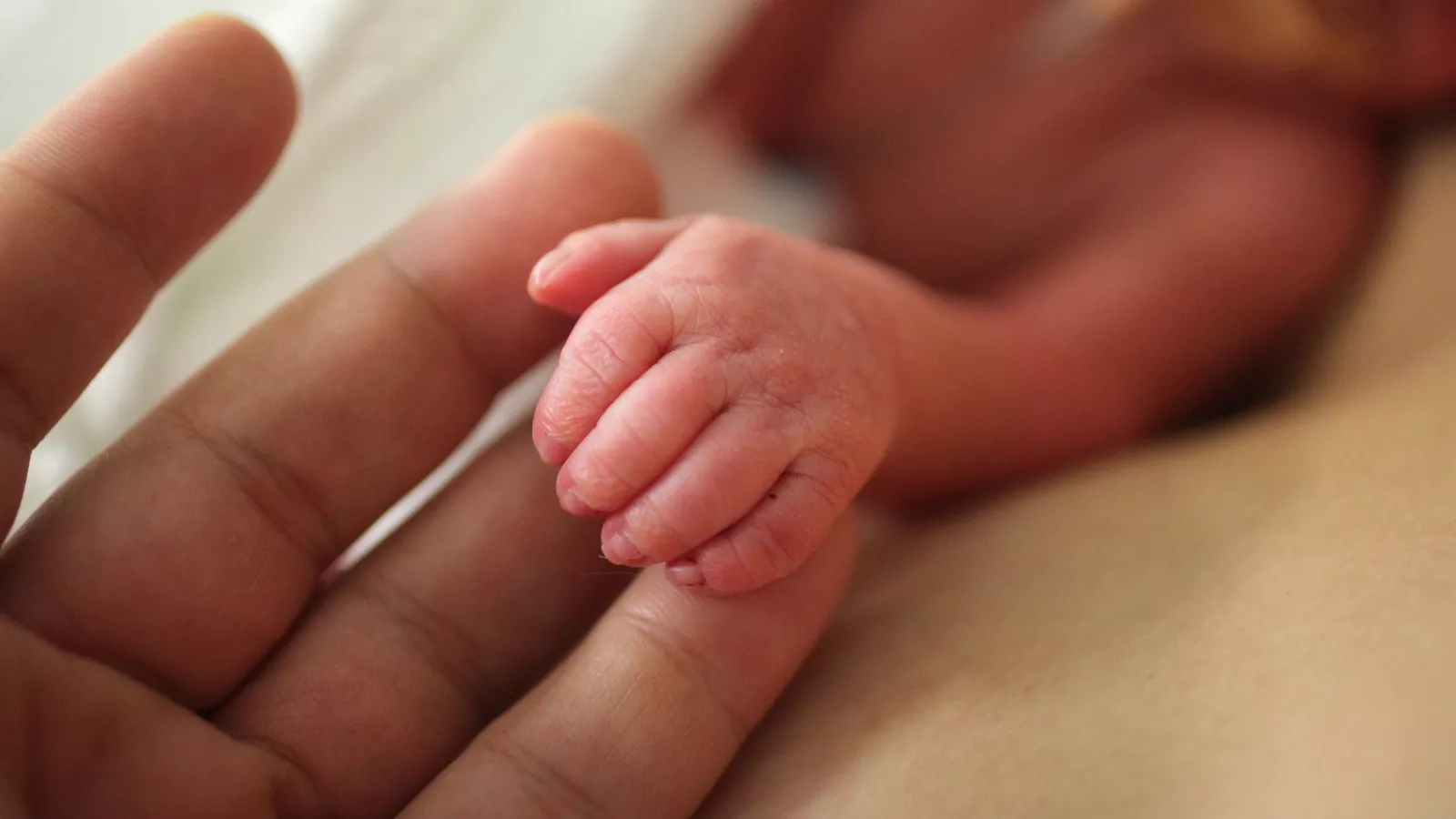 फतेहगढ़ साहिब : 7 दिन की मासूम को मां ने छोड़ा गार्डन में