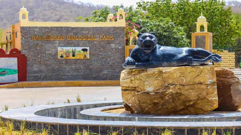 Rajasthan News: गुलाब और चमेली के साथ टाइगर सफारी में रहेगी भक्ति