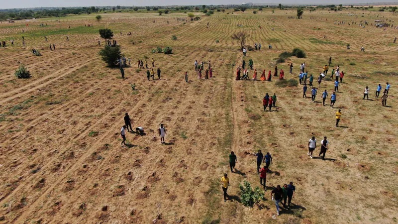 Rajasthan News: जैसलमेर ने रचा नया वर्ल्ड रिकॉर्ड, 1 घंटे में लगाए 5.19 लाख पौधे