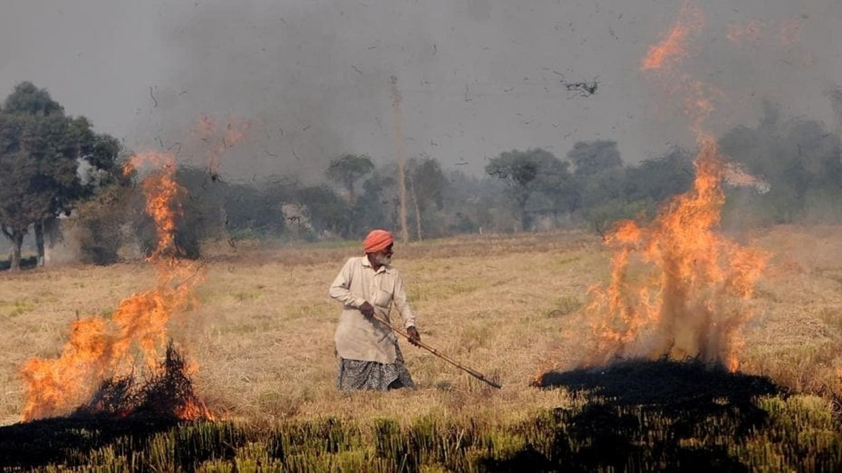 पलारी जलाने से बढ़ रहा प्रदूषण, प्रशासन ने ठोका जुर्माना दी समझाईश