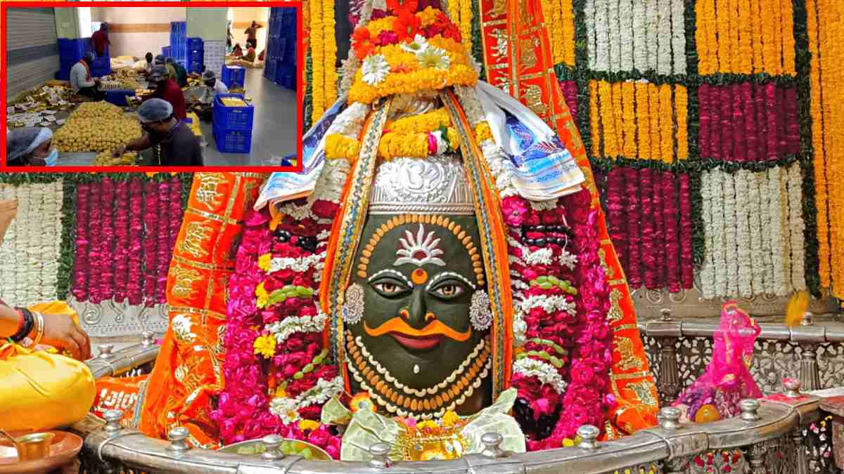 Five Star Rating है महाकाल का ‘प्रसाद’, शुद्ध घी और बेसन से बनता है भोले का भोग