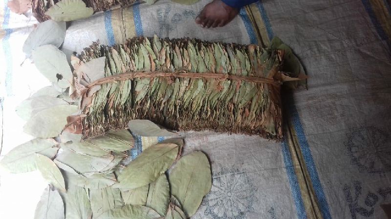 ओडिशा : नयागढ़ में सरकारी गोदाम से 2 लाख रुपये के केंदू पत्ते की चोरी