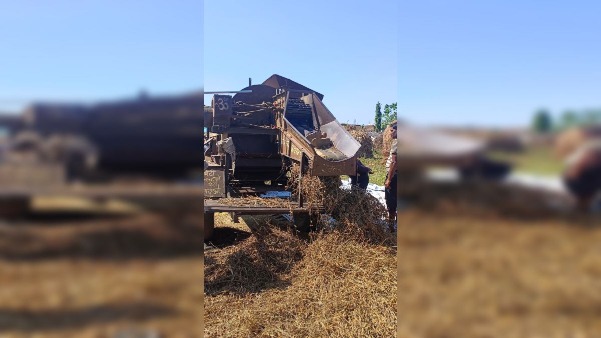 फसल काटते समय थ्रेसर मशीन में फंसा किसान: धड़ अंदर और पैर रह गए बाहर, निकालने का प्रयास जारी