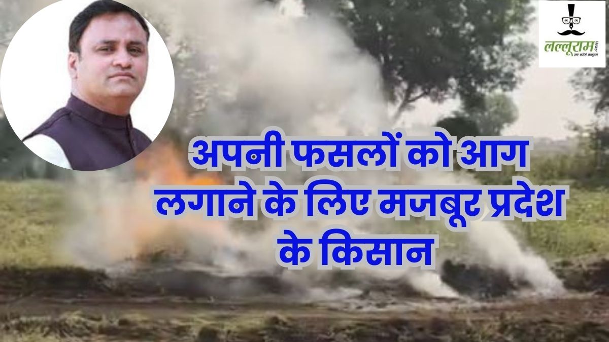 ‘अपनी फसलों को आग लगाने के लिए मजबूर अन्नदाता’, अरुण यादव बोले- भाजपा किसान विरोधी सरकार 