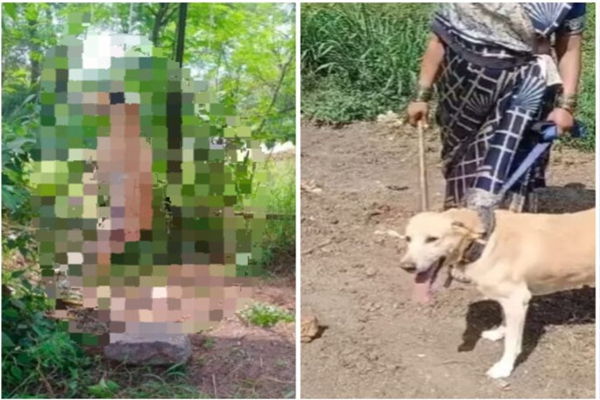 हैवानियत की हदें पार ; पुणे में पालतू कुत्ते को बेरहमी से पीटा, फिर लटकाया फांसी पर, आदित्य ठाकरे ने की दोषियों पर सख्त कार्रवाई की मांग