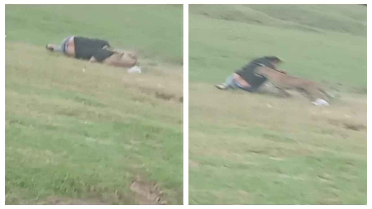 Leopard Attacked Live Video: पिकनिक मनाने गए युवकों पर तेंदुए ने किया हमला, अब जिंदगी और मौत के बीच लड़ रहे जंग