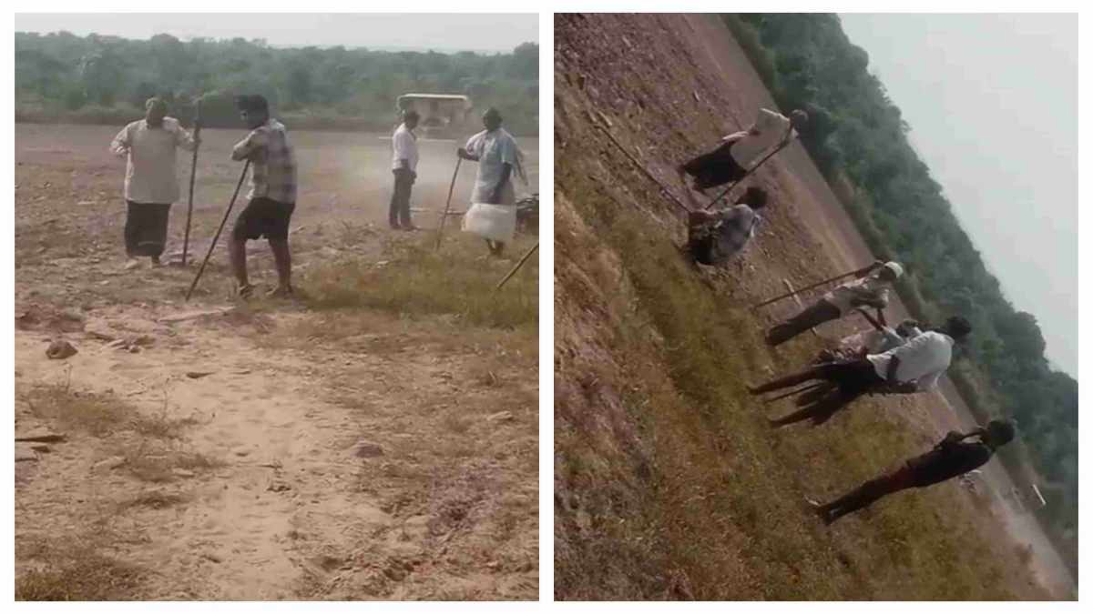 दबंगों के हौसले बुलंद: आदिवासियों की जमीन जोत कर सरसों की फसल की बर्बाद, SP ऑफिस पहुंच पीड़ित किसानों ने लगाई न्याय की गुहार