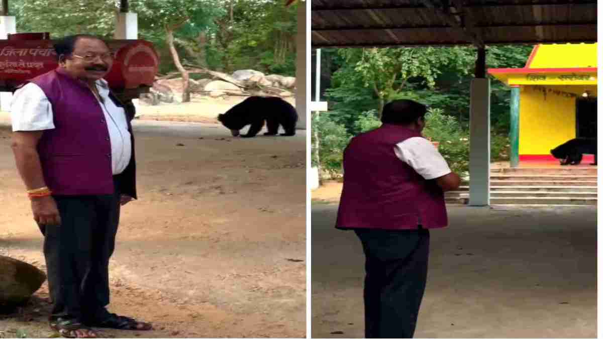 शिव मंदिर में दर्शन के दौरान अचानक पहुंचा भालू, पूर्व सांसद ने खिलाया नारियल, देखें VIDEO