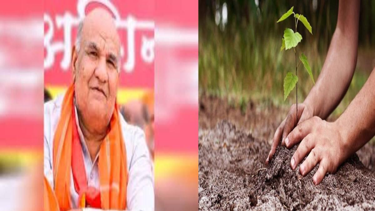 राजस्व मंत्री के गृह जिले में वन विकास निगम का बड़ा कारनामा, पौधरोपण के नाम पर करोड़ों का घोटाला, आखिर कब होगी जिम्मदारों पर कार्रवाई?