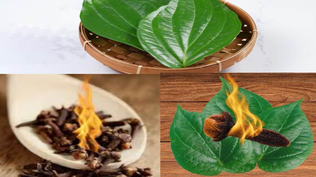 Paan Ke Patte Ke Fayde: पान के पत्ते में लौंग रख कर, करे ये काम, होंगे कई फायदे…