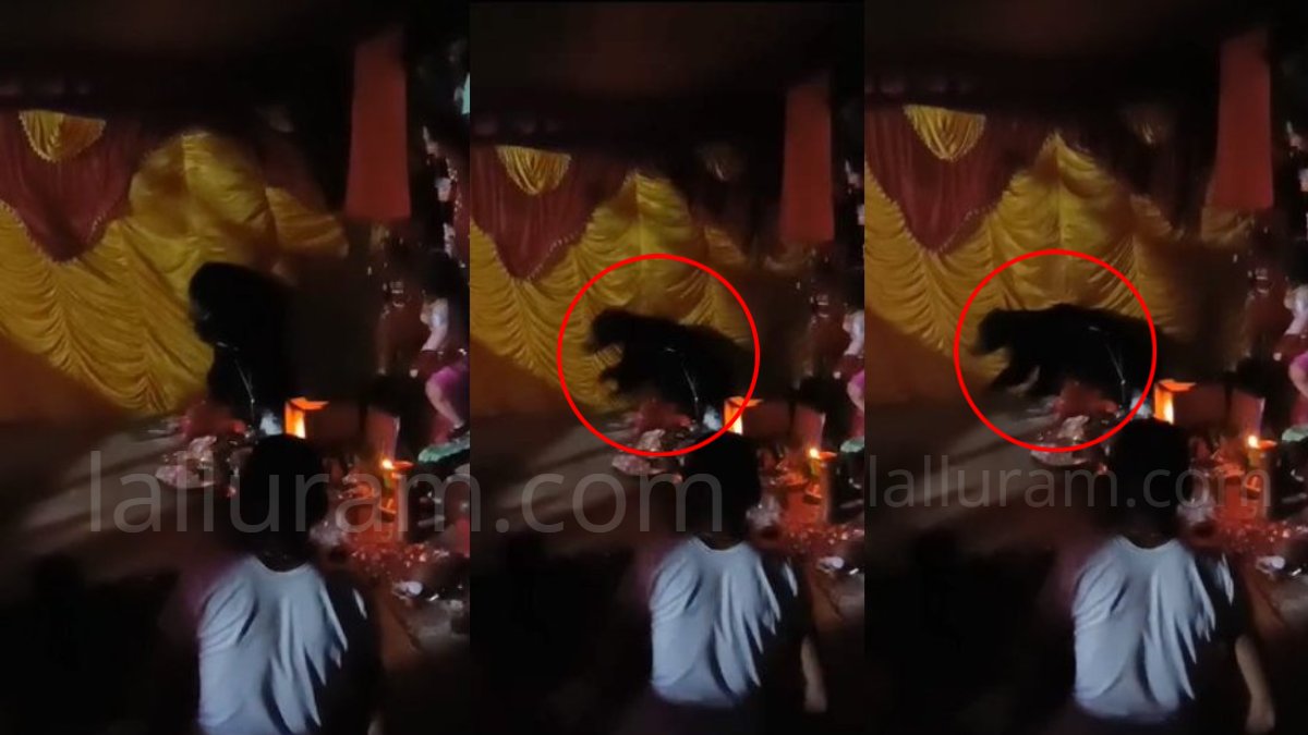 दुर्गा पंडाल में अचानक घुसा भालू, लोगों में मची खलबली, देखें Video …