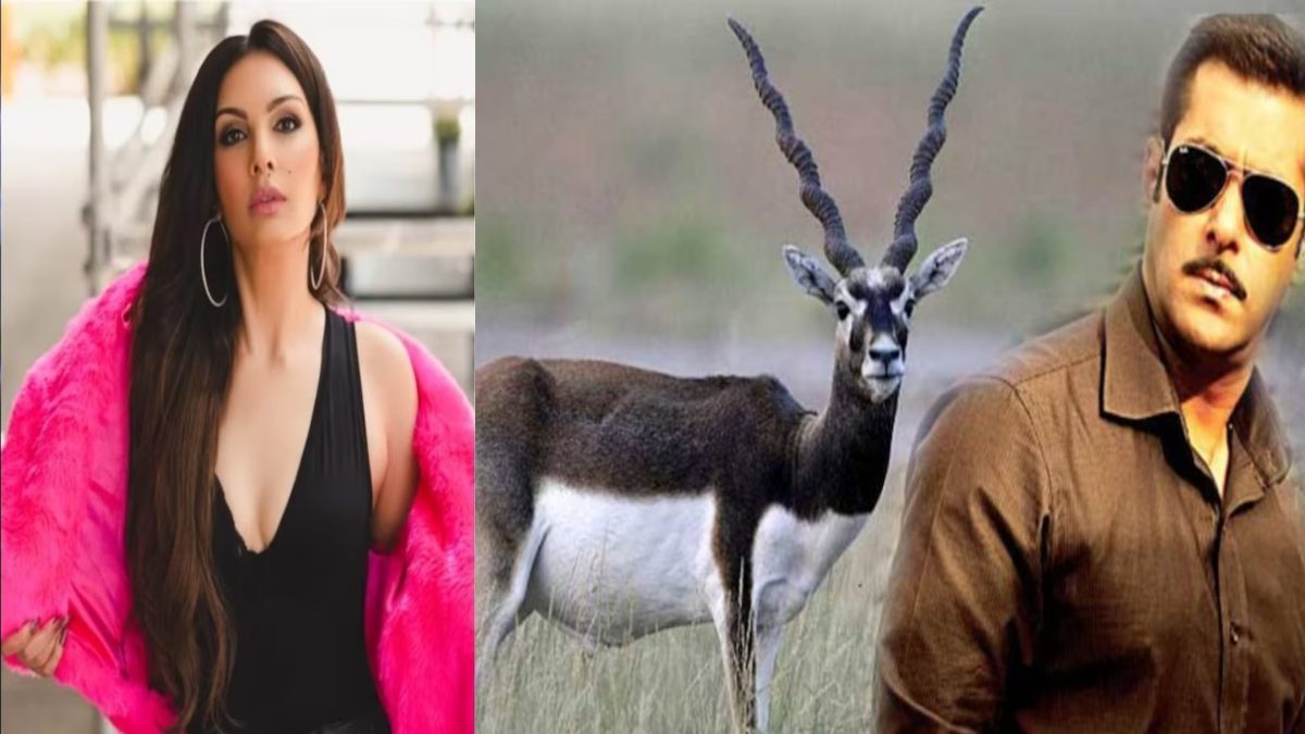 Salman Khan की एक्स गर्लफ्रेंड Somy Ali ने किया खुलासा, काले हिरण के शिकार को लेकर कही ये बात, कहा- मैं किसी से नहीं डरती …
