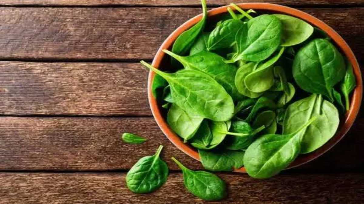 Health Tips: इन लोगों को भूलकर भी नहीं खाना चाहिए पालक की सब्जी, जानिए क्या है इसकी वजह…