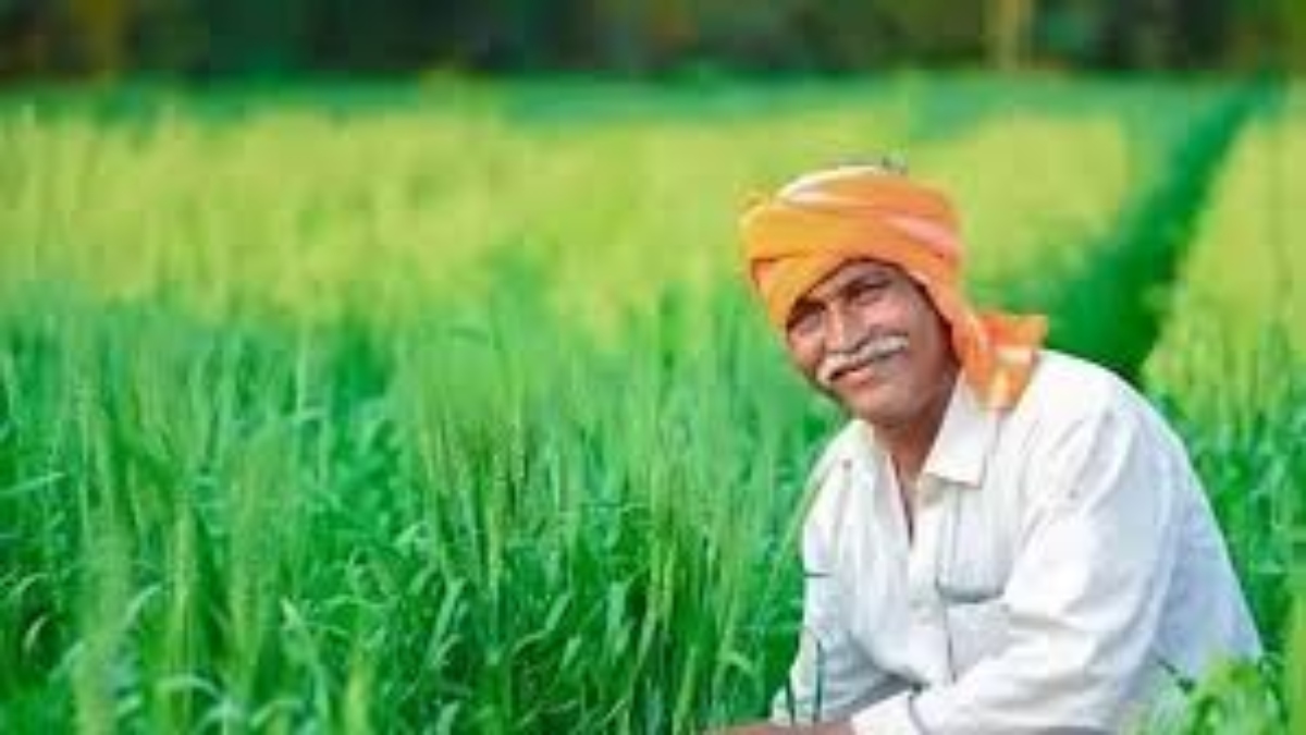 MP के किसानों के लिए अच्छी खबर: धान, ज्वार, बाजरा बेचने के रजिस्ट्रेशन की तारीख बढ़ी, जानें अब कब तक करा सकेंगे पंजीयन  