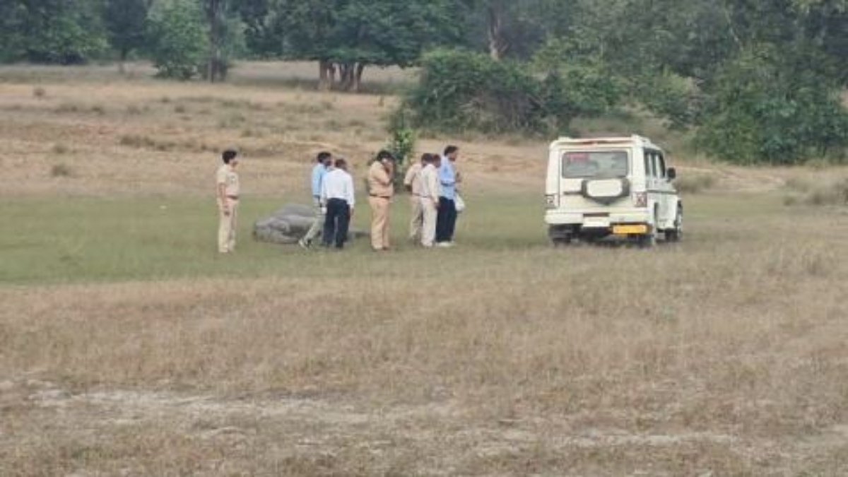 बांधवगढ़ टाइगर रिजर्व में 4 जंगली हाथियों की संदिग्ध परिस्थितियों में मौत, कई की हालत गंभीर, मचा हड़कंप 