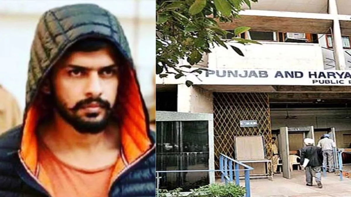 लॉरेंस बिश्नाई इंटरव्यू मामले में हाईकोर्ट ने लगाई फटकार, जानिए क्या कहा