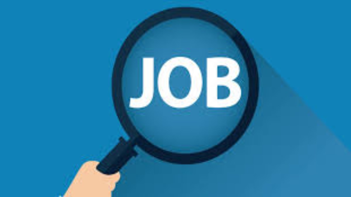 JOB ALERT: युवाओं के लिए सुनहरा अवसर, इस विभाग में 4300 पदों पर निकाली जाएगी वैकेंसी, भर्ती प्रक्रिया तेज