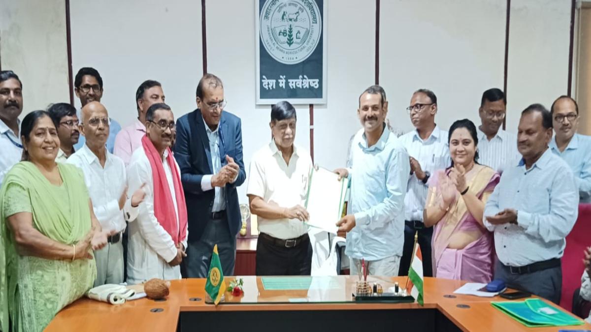 JNKVV में एक दिवसीय किसान संगोष्ठी और जागरूकता व्याख्यान: प्रजनक बीज अधिकार प्रमाण पत्र का किया वितरण, डॉ. दिनेश बोले- पौधों की नई किस्म में लें रुचि