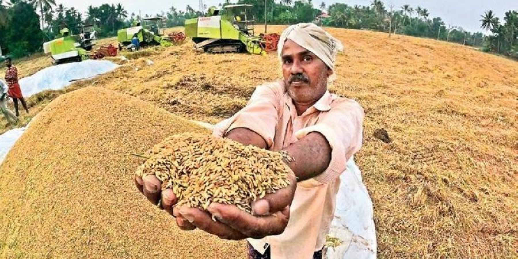 पंजाब : किसानों से धान खरीदी का ब्लूप्रिंट तैयार