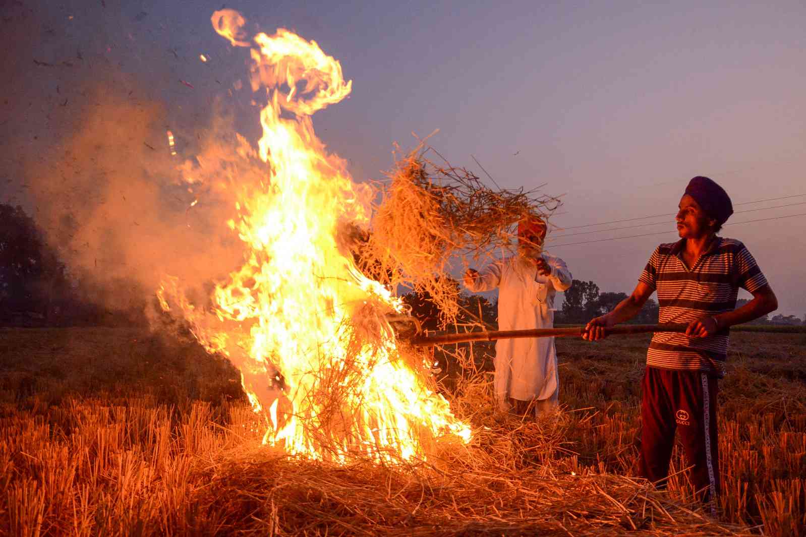 पलारी जलाने में पंजाब सबसे आगे, लगातार बढ़ रहा प्रदूषण