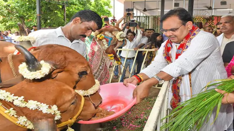 Rajasthan News: राजस्थान में उपचुनाव के बीच गाय को राज्यमाता का दर्जा देने की तैयारी; 5वीं कक्षा के पाठ्यक्रम में जोड़ा जाएगा गोमाता का पाठ; मंत्री ने लिखा पत्र
